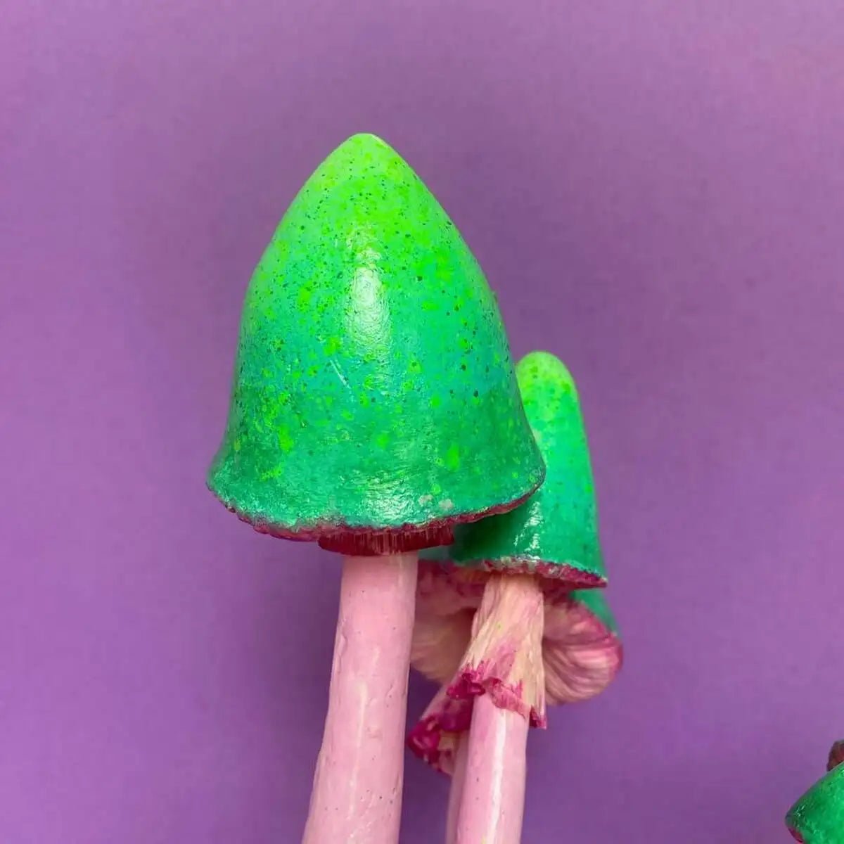 Close view of individual mushroom cap and stem