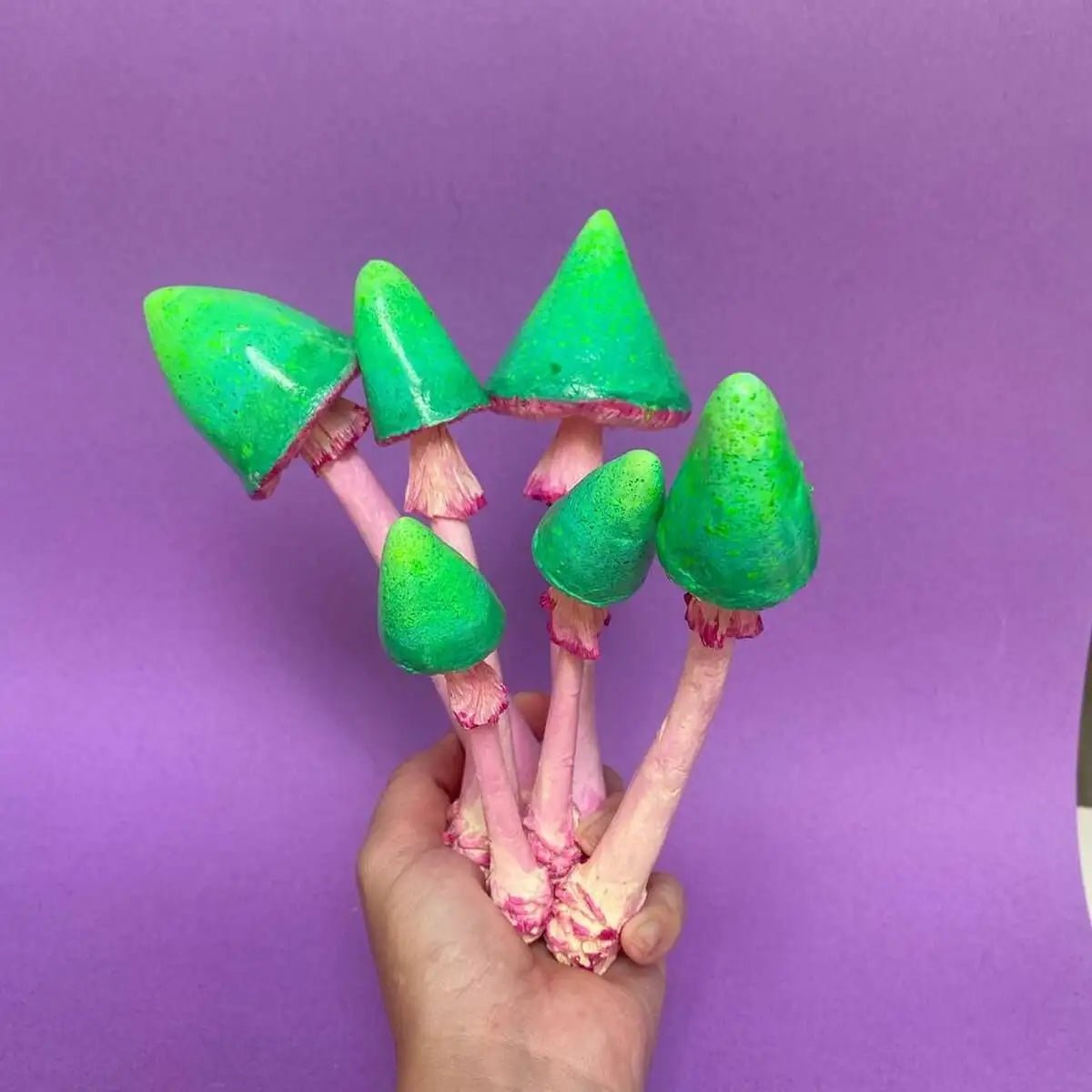 Group of mushrooms held together by hand against violet background