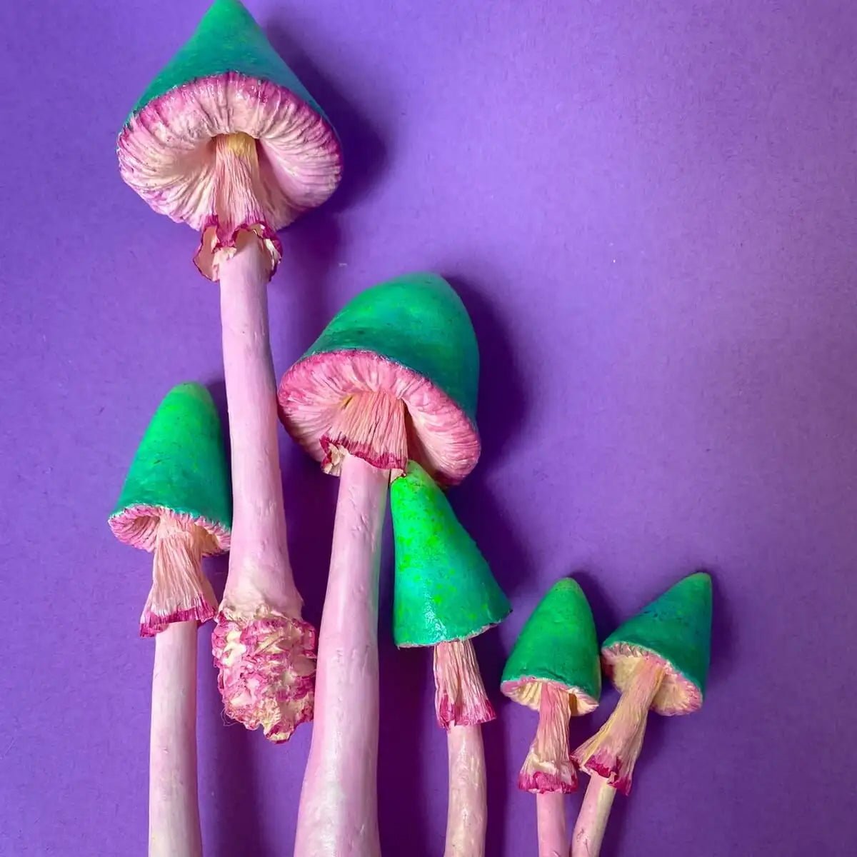 Tall handmade mushrooms with gills visible from below