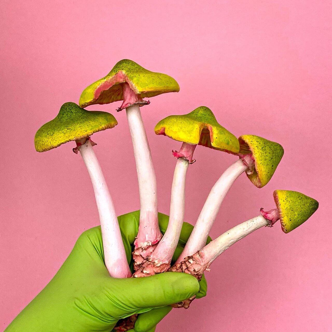 Handmade papier-mâché mushrooms with yellow-green caps – held in green glove on pink background, DIY fantasy craft