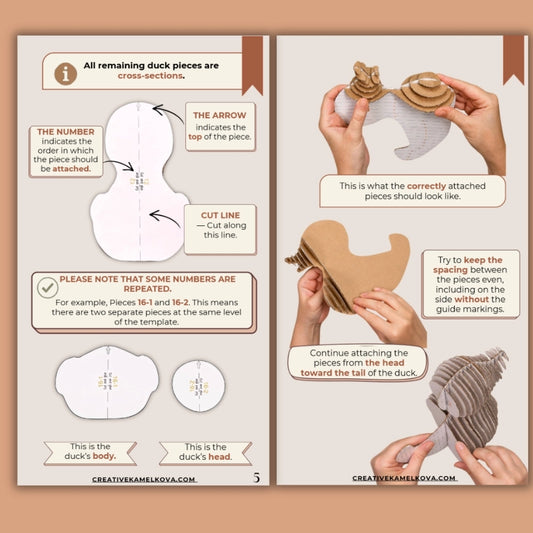 An instructional collage showing how to assemble cross-section duck pieces. The left panel contains text instructions, arrows, and diagrams of the duck body and head templates.