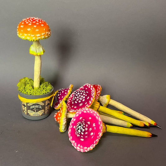 Mushroom Amanita Pencil (different color, shape and set)