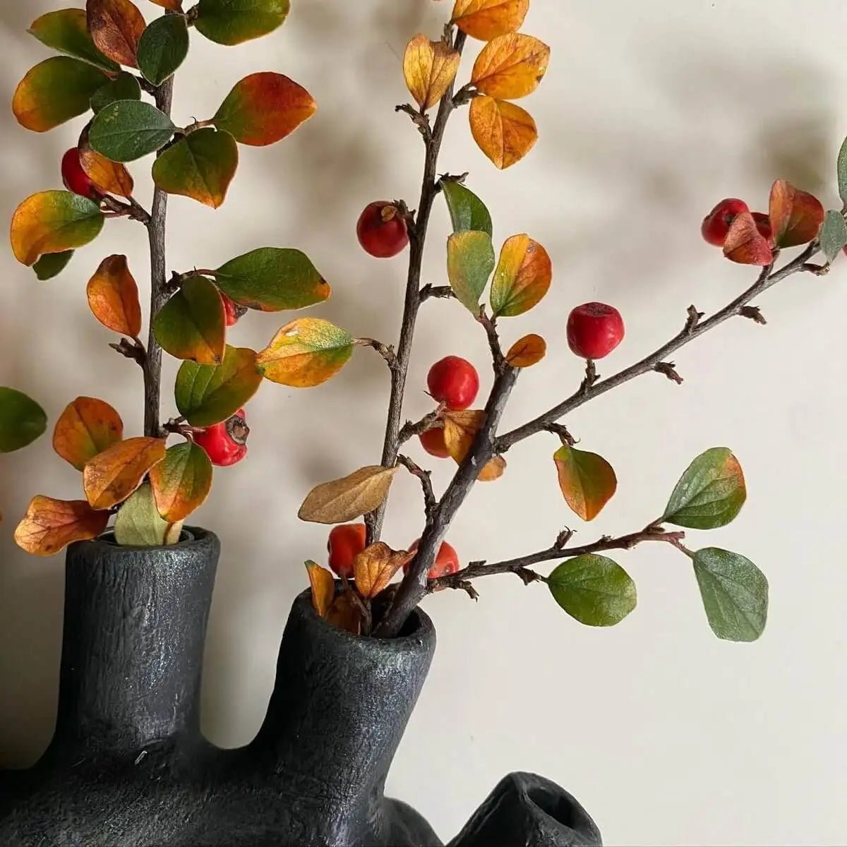 Close-up of glass tubes with berries inside anatomical heart vase