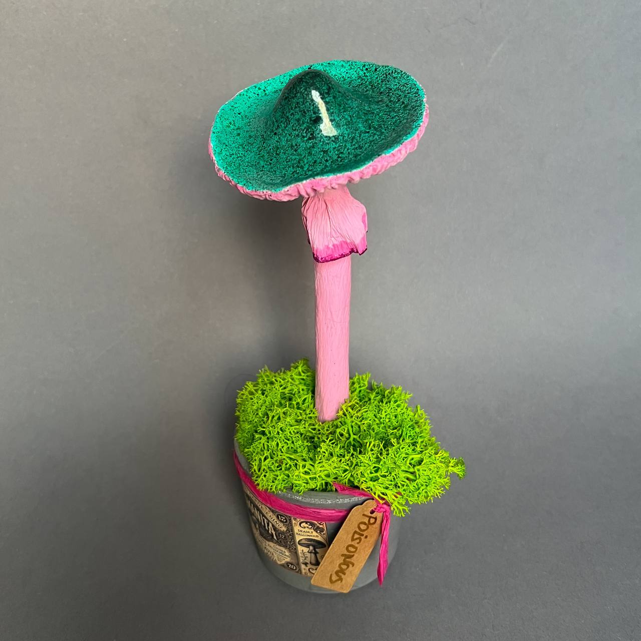 Mushroom Toadstool Pencil pink, turquoise (different color, shape and set)