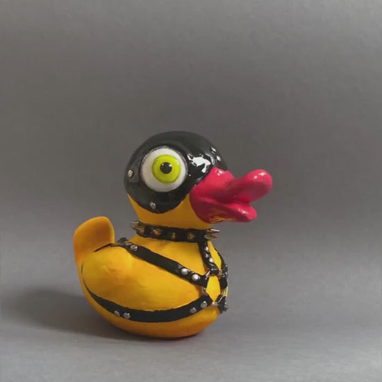 Horizontal video of BDSM duck – rotation and detail shots
