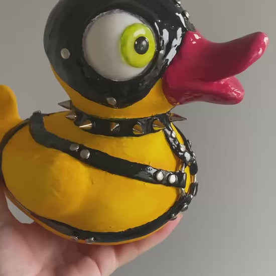 Vertical video showing duck from different angles