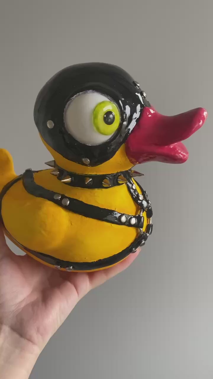 Vertical video showing duck from different angles